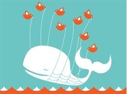 Fail Whale Fail Whale