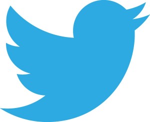 New Twitter Logo